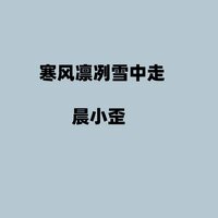 寒风凛冽雪中走 - 晨小歪