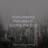 Hope & Optimism - Saludo al Sol Sonido Relajante & Relaxing Sleep Sound & Sleep Sound Library
