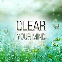 Play with Mummy (Mind and Body Harmony) - Mindfulness Meditation Academy