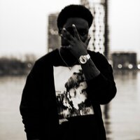Davincy Code - Raccoon