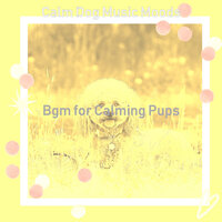Marvellous Moods for Doggy Training - Calm Dog Music Moods