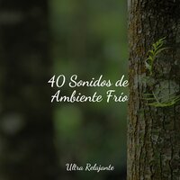 Luna Clara - Canciones de Cuna para Bebés Acadèmico & Relajante Musica & Sonido de lluvia