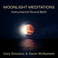 Shibui-Elegant Moon - Stevin McNamara & Gary Stroutsos