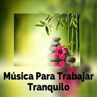 Posturas de Yoga para Principiantes - Música Suave
