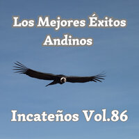 Tacita de Plata - Los Incateños & Julio Miguel