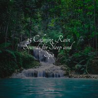 Shelter Rains - Sons da Natureza & Lightning & Kundalini: Yoga