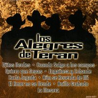 Ojitos Sonadores - Los Alegres De Teran