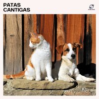 Música para Cães Idosos - Música Para Cachorros & Academia de Música para Animais & Música para Pets Dormirem & Música de Dormir para Cachorros