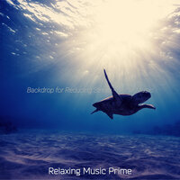 Contemporary Music for Nervousness - Relaxing Music Prime