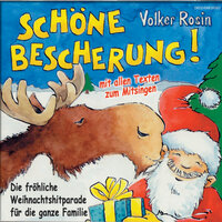 Weihnachten zu Haus - Volker Rosin