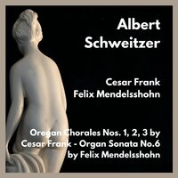 Organ Sonata No. 6 in D Minor Op. 65 : III.Finale : Andante - Doctor Albert Schweitzer