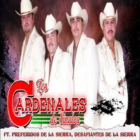 Bohemio De Aficion - Los Cardenales De Sinaloa