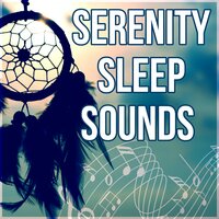 Forest Stream Ambience - Restful Sleep Music Collection