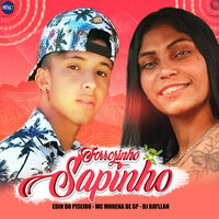 Forrozinho Sapinho - Edin Do Piseiro & DJ Rayllan & MC Morena de SP