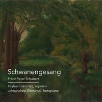 Schwanengesang, D. 957: X. Die Stadt - Франц Шуберт & Kayleen Sánchez & Johnandrew Slominski