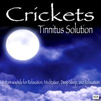 Waterfall - Crickets - Tinnitus Sleep Solution