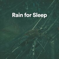 Relaxing Rain Sounds - 24H Rain Sounds