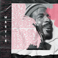 Marvin Used To Say - Raheem DeVaughn & The Colleagues