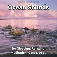 Ocean Noises for Children - Nature Sounds & Ocean Sounds & Relaxing Sounds