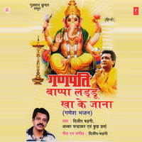 Cham - Cham Gajnane Nache - Dilip Shadangi & Dilip Shandagi