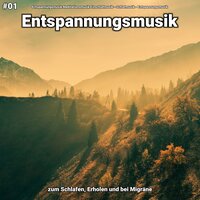 Entspannungsmusik pt. 50 - Entspannungsmusik Meditationsmusik Einschlafmusik & Schlafmusik & Entspannungsmusik