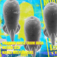 Naves Misteriosas - Organic Noise from Ibiza