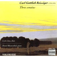 Grande Sonate in B Minor for Violin and Piano, Op. 190 (Transcribed for Flute by Jans): I. Moderato. Allegro appassionato - Carlo Jans & Daniel Blumenthal