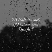 Rain While Driving - Calming Rainforest Sounds & Deep Sleep FX & Rain Sounds Rain