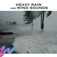 Wind and Rain (Loopable) - Serene Rose & Rain Sounds & Thunderstorm Sounds