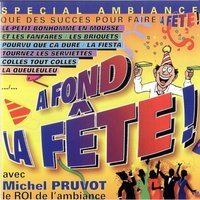 Viens boire un p'tit coup à la maison - Michel Pruvot
