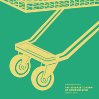 Shoplifting - Michel Banabila