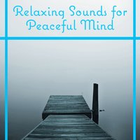 Ambient Relax Music: Healing Music - Calm Music Masters Relaxation