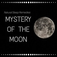 Walking Meditation (Antistress Music) - Brenda Evora