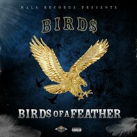 Hood Bitch - Bird$