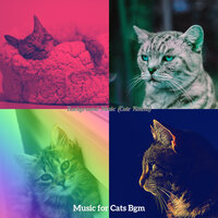 Inspired (Sleeping Cats) - Music for Cats Bgm