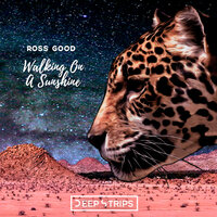 Walking On A Sunshine - Ross Good & Pilot Bg