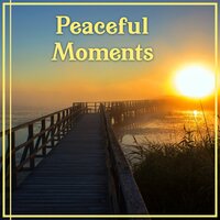Gentle Ocean - Tai Chi Spiritual Moments