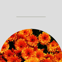 Cool Ambiance for Mental Exercises - Morning Coffee Playlist