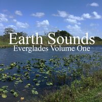 Harrogate in Spring - Earth Sounds