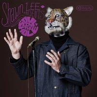 Soul in the Hole - Shawn Lee