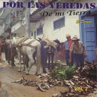 Puedes Marcharte - Castaneda