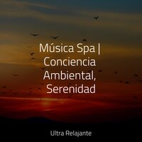 Relajación Todo El Día - Musica relajante con sonidos de la naturaleza & Música Relajante para Bebés & Musica Para Meditar y Relajarse