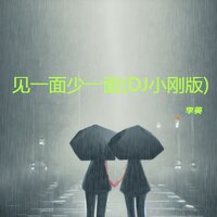 见一面少一面 - 李英 & DJ小刚