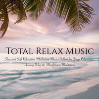 Zenfulness (Background Music) - Meditation Relax Club