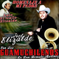 Paloma Blanca - Joel Elizalde