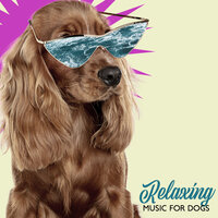 Happy Four-legged Friend - Pet Care Club
