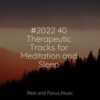 Soft Dreams - Binaural Beats & The White Noise Zen & Meditation Sound Lab & Relax Meditation Sleep