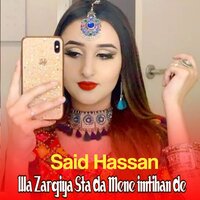 Wa Da Watan Mene Darna Zar Sha Zama - Said Hassan