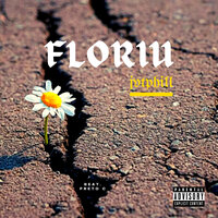 Floriu - Jvtphill & Preto C