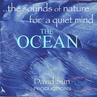 The Ocean - David Sun